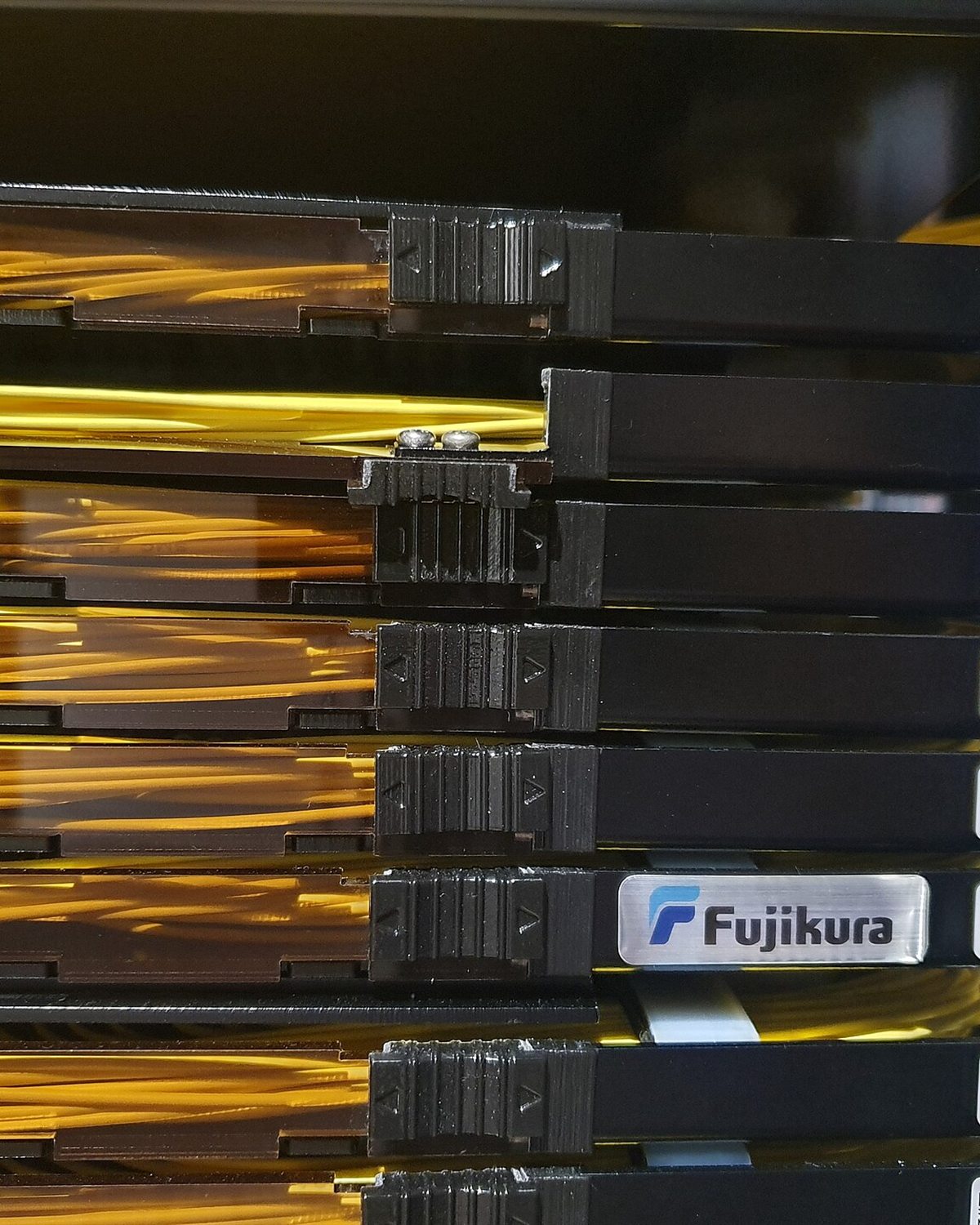 这个网站是怎么跑在轻量服务器上的（示例）